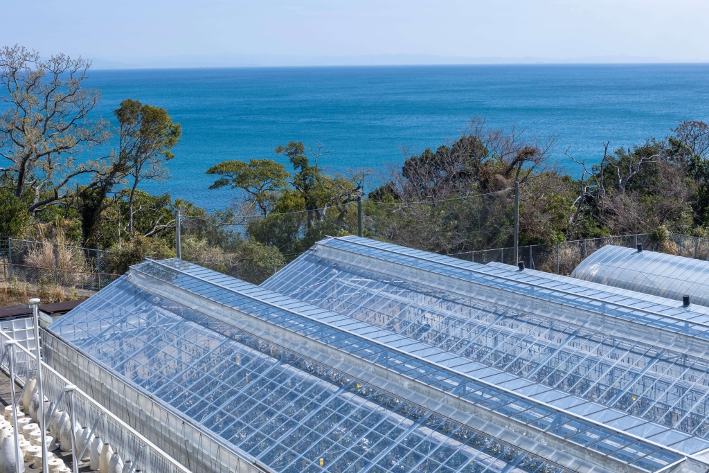 アグリミュージアム他写真